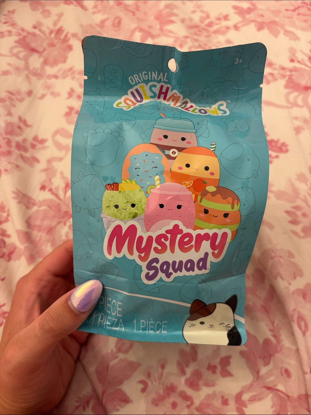 Squishmallows - Mystery Squad Blind Bag